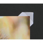 Fotorožky transparentné, 500 ks