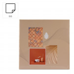 Album memo SINGO II Terracotta 10x15/200, popisové pole