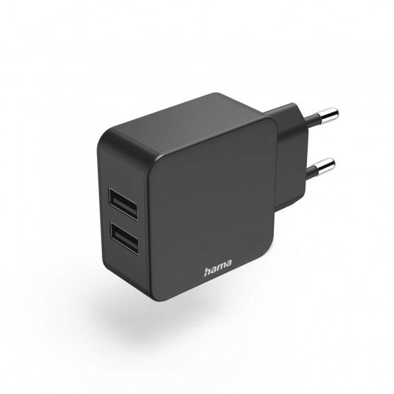 Charger, 2 x USB-A, 12 W, black