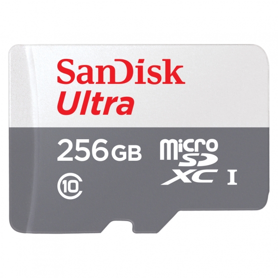 MicroSDXC Ultra® Lite 256GB (UHS-I/Cl.10/100MB/s)