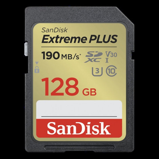 SDXC Extreme PLUS 128GB (R190MB/s) + 2 years RescuePRO Deluxe