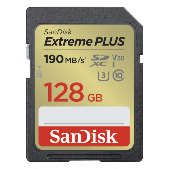 SDXC Extreme PLUS 128GB (R190MB/s) + 2 years RescuePRO Deluxe