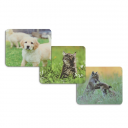 Animal Mouse Pad,12pcs in display