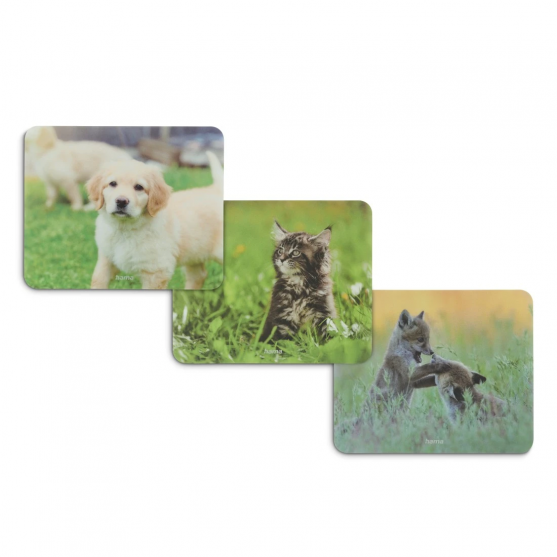 Animal Mouse Pad,12pcs in display