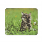 Animal Mouse Pad,12pcs in display