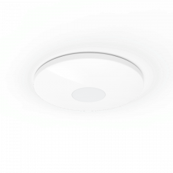 Big Smart Home Ceiling Light, without Hub, Voice/App Control, Diam. 50 cm
