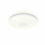Big Smart Home Ceiling Light, without Hub, Voice/App Control, Diam. 50 cm