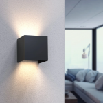 LED Wall Light for Indoors and Outdoors, WLAN, App & Voice Control, black