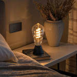 Inteligentná LED žiarovka E27 ST64, retro vlákno, RGBW, stmievateľná, app Inteligentná LED žiarovka E27 ST64, retro vlákno, RGBW, stmievateľná, app