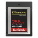 CF Extreme PRO CFexpress 256GB, Type B, 1700MB/s Read, 1200MB/s Write