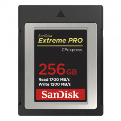 CF Extreme PRO CFexpress 256GB, Type B, 1700MB/s Read, 1200MB/s Write