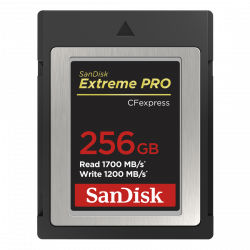 CF Extreme PRO CFexpress 256GB, Type B, 1700MB/s Read, 1200MB/s Write