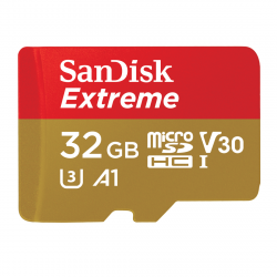 MicroSDHC Extreme 32GB (A1/V30/U3/UHS-I/W60/R100) Mobile Gaming