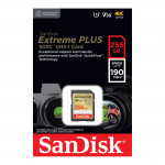 SDXC Extreme PLUS 256GB (R190MB/s), + 2 years RescuePRO Deluxe