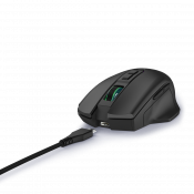 Myši