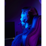 SoundZ 200 V2 Gaming Headset, black