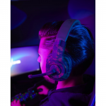 SoundZ 330 V2 Gaming Headset, black