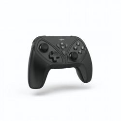 NIN.SW. CONTROLLER, BT