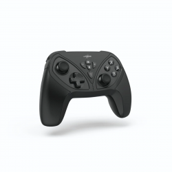 NIN.SW. CONTROLLER, BT