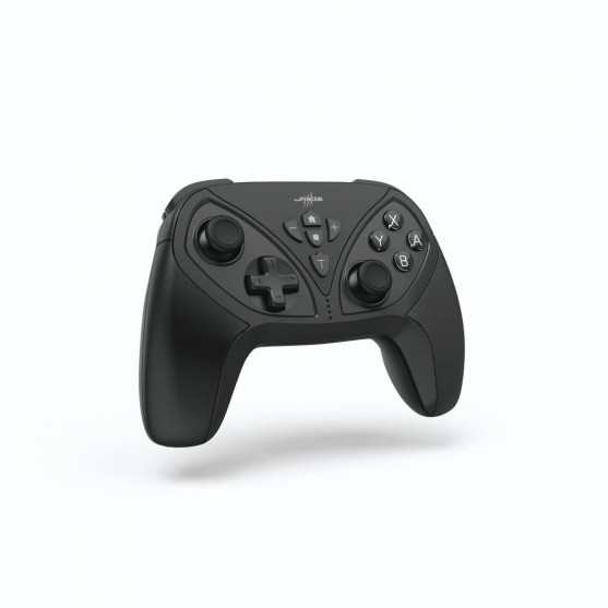 NIN.SW. CONTROLLER, BT