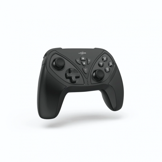 NIN.SW. CONTROLLER, BT