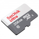 SanDisk Ultra microSDXC 256 GB 100 MB/s Class 10 UHS-I SanDisk Ultra microSDXC 256 GB 100 MB/s Class 10 UHS-I