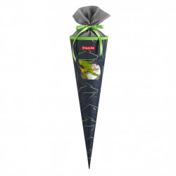 Kornút pre prváčikov Step by Step, Ninja Kimo