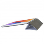 Hama Fold Clear, puzdro pre Apple iPad 10,2 (2019/2020/2021), orgovánové